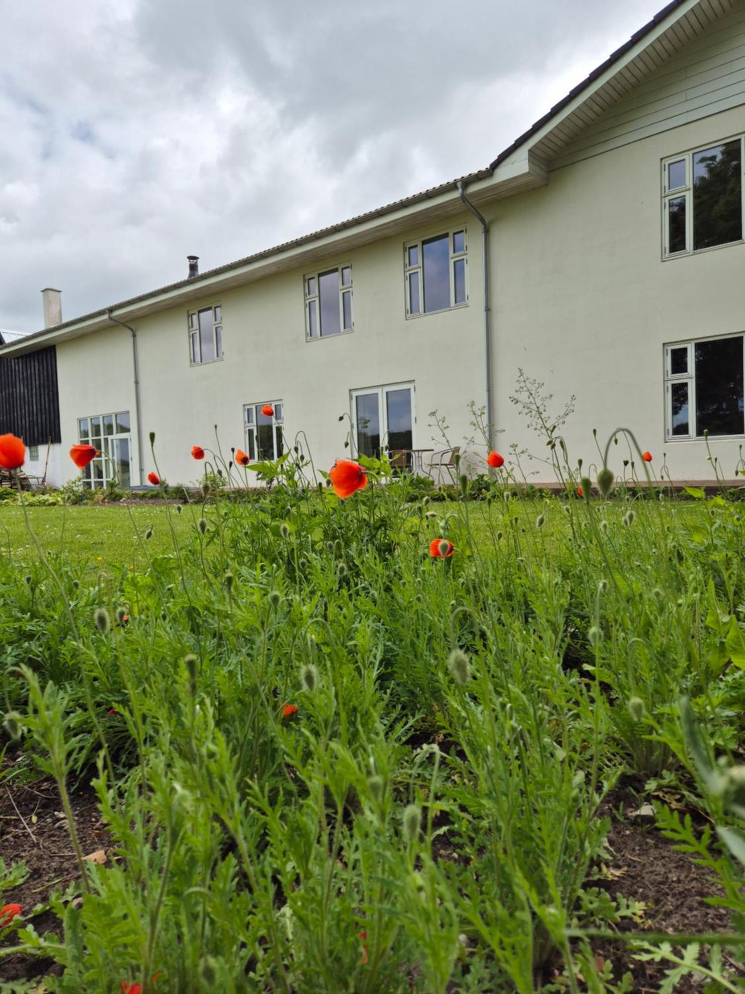 Mols Bed & Breakfast Knebel Buitenkant foto