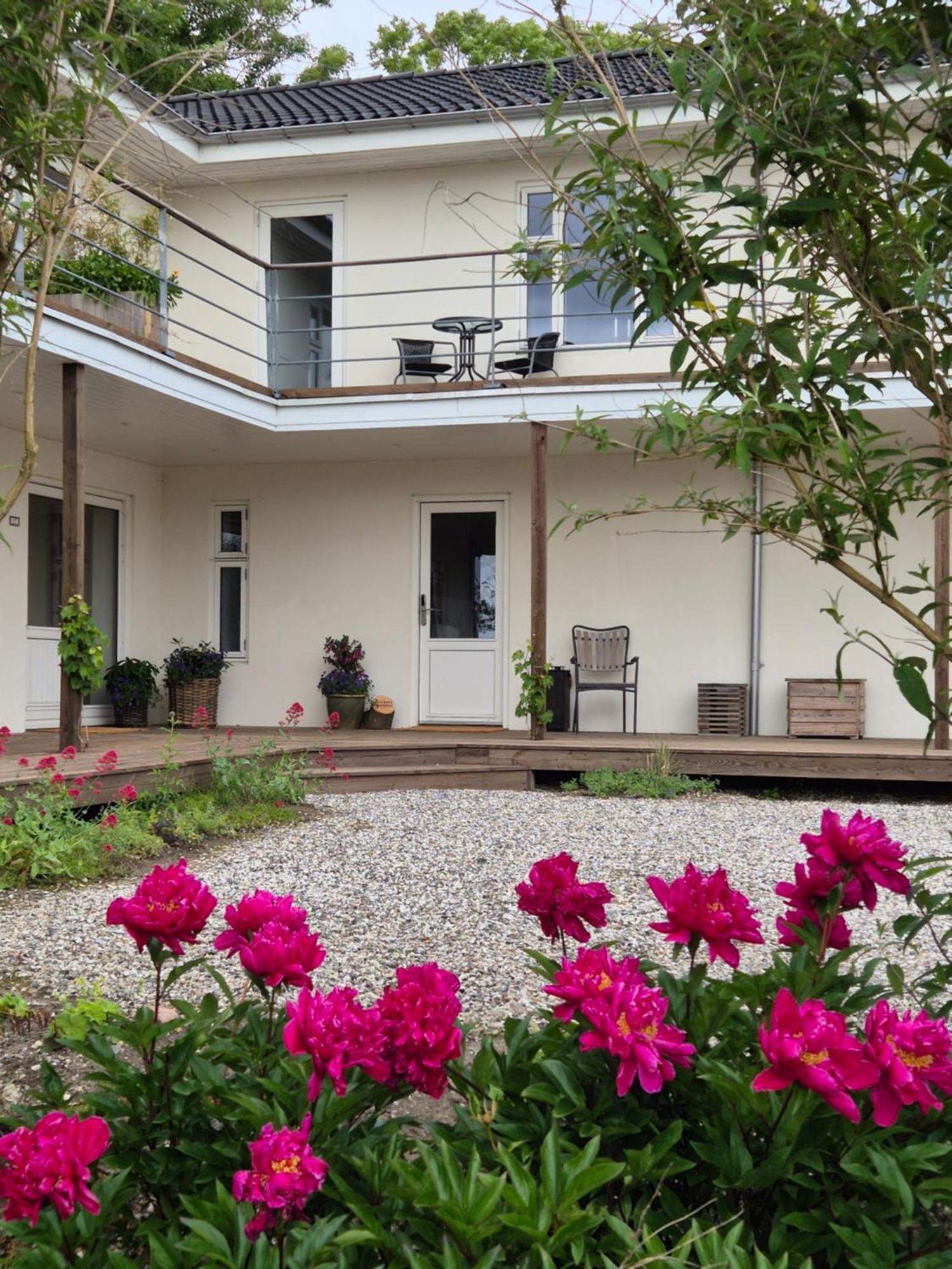 Mols Bed & Breakfast Knebel Buitenkant foto