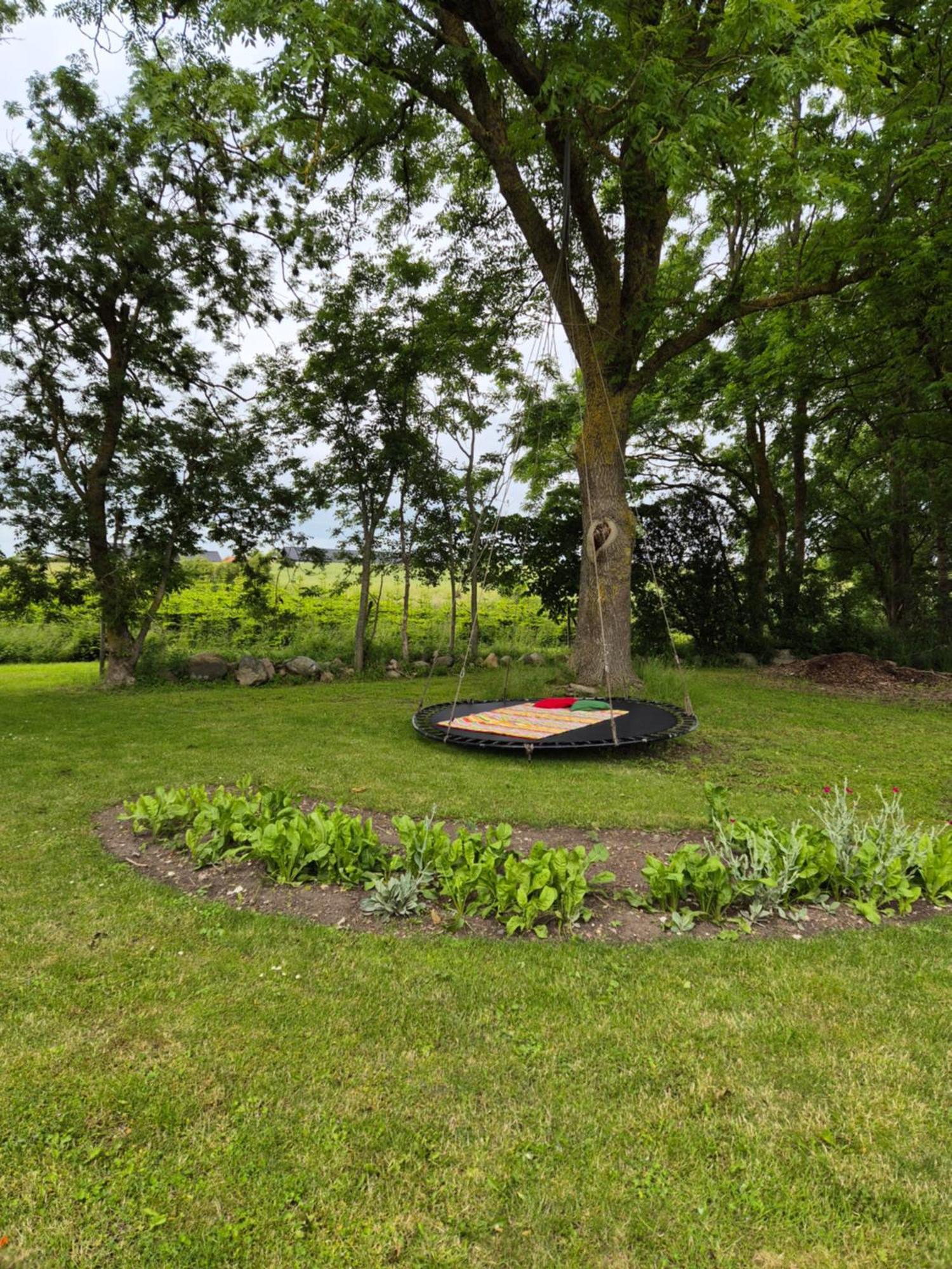 Mols Bed & Breakfast Knebel Buitenkant foto