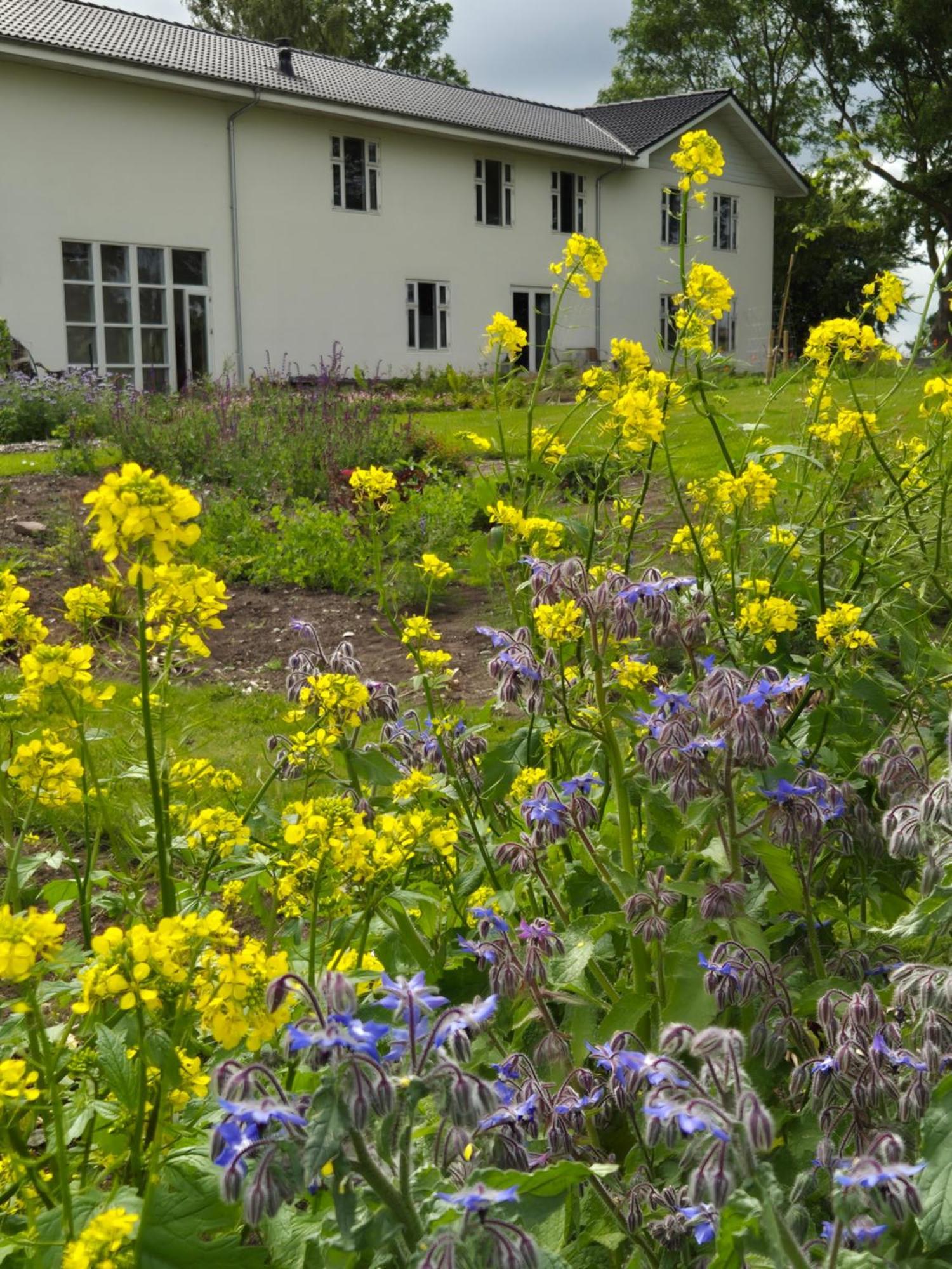 Mols Bed & Breakfast Knebel Buitenkant foto