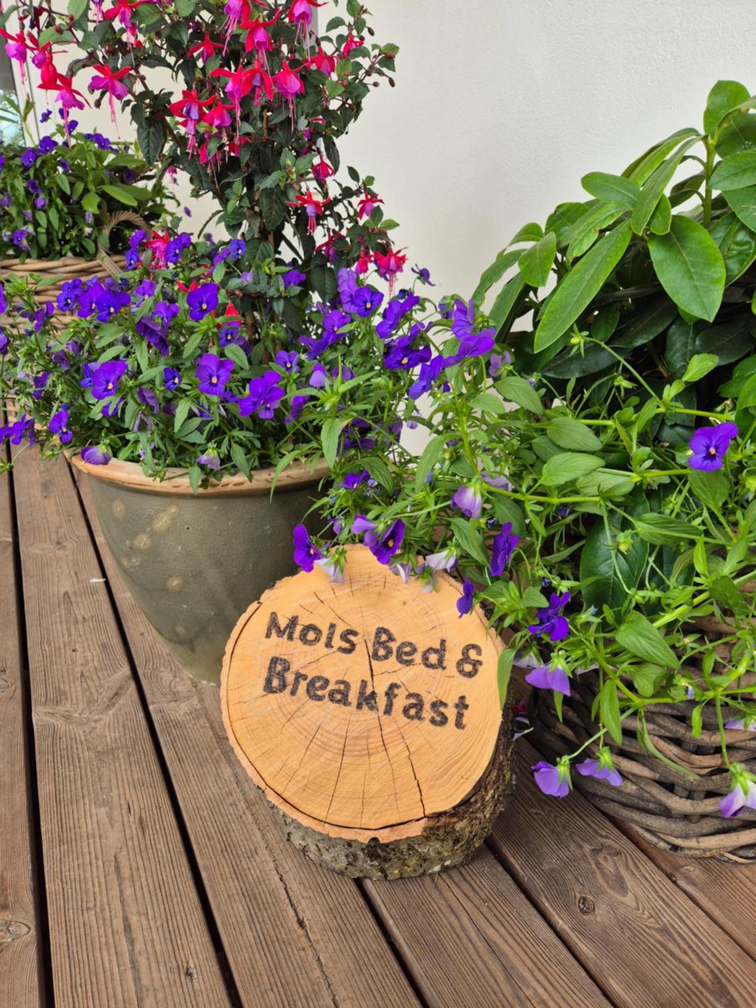 Mols Bed & Breakfast Knebel Buitenkant foto